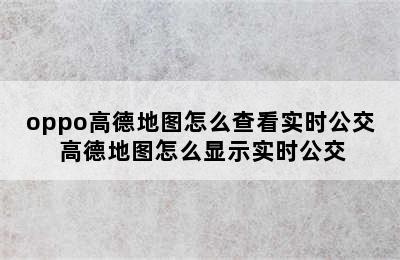 oppo高德地图怎么查看实时公交 高德地图怎么显示实时公交